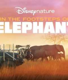 فيلم In the Footsteps of Elephant 2020 مترجم للعربية