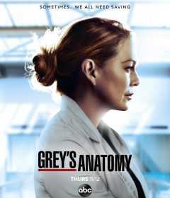 مسلسل Grey’s Anatomy الموسم السابع عشر