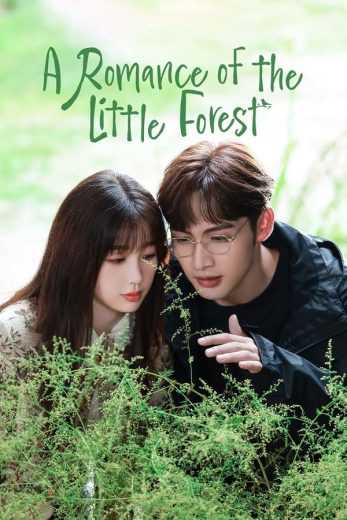 مسلسل A Romance of the Little Forest الموسم الاول