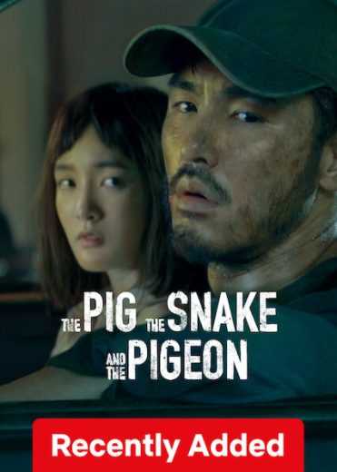 فيلم The Pig, the Snake and the Pigeon 2024 مترجم للعربية